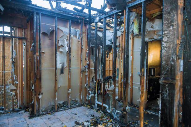 Professional Fire Damage Repair technician working in Hanover, MN